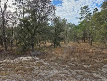 DUNNELLON FL Property