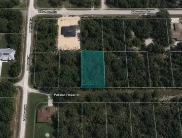 SEBRING FL Property