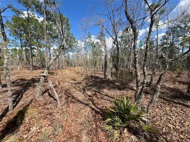 HAWTHORNE FL Property