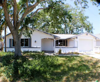 HOLIDAY FL Home