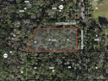 HOMOSASSA FL Property