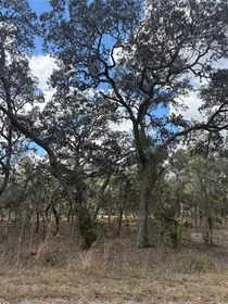 DUNNELLON FL Property