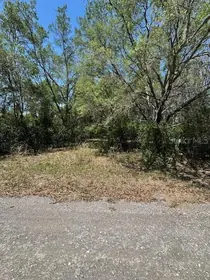 CRYSTAL RIVER FL Property