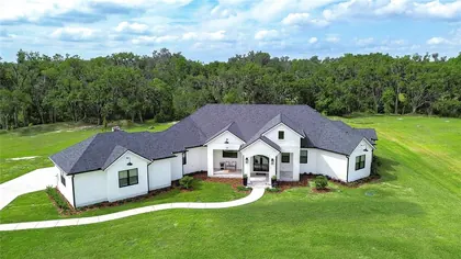 LITHIA FL Home