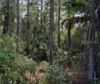 PALM BAY FL Property