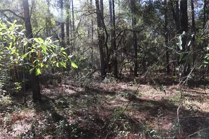DUNNELLON FL Property