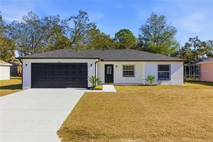 SPRING HILL FL Home