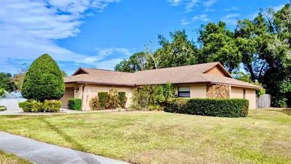PLANT CITY FL Home
