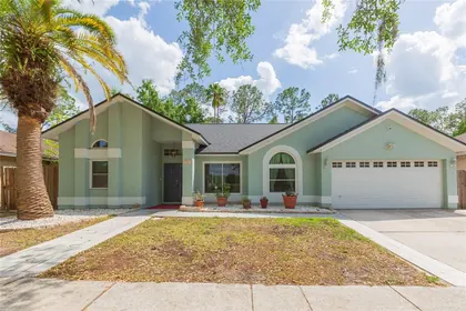 TAMPA FL Home