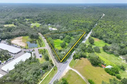 LITHIA FL Property