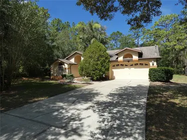 BEVERLY HILLS FL Home