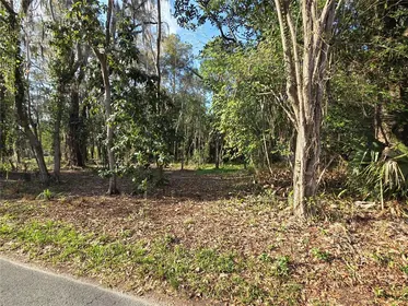 GAINESVILLE FL Property