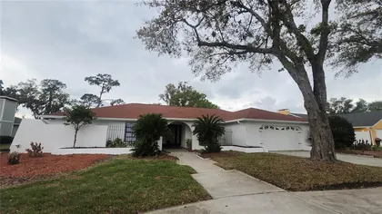 PLANT CITY FL Home