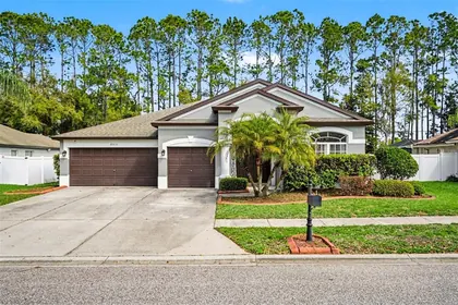 LAND O LAKES FL Home