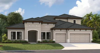 BRANDON FL Home