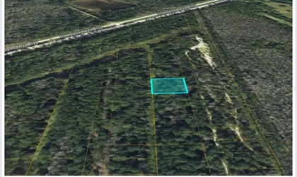 DELAND FL Property
