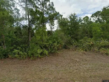 LEHIGH ACRES FL Property