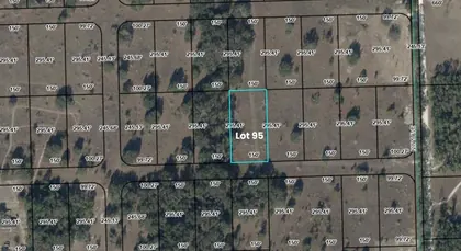 BRANFORD FL Property