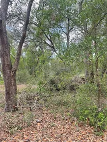 LADY LAKE FL Property