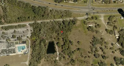 PLANT CITY FL Property