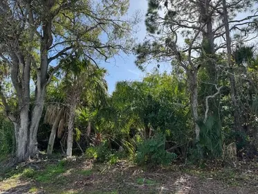 ENGLEWOOD FL Property