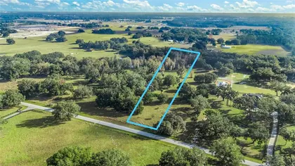 WILDWOOD FL Property