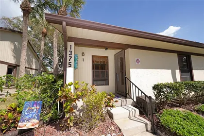DUNEDIN FL Home