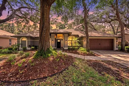 LUTZ FL Home