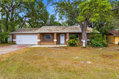 SPRING HILL FL Home
