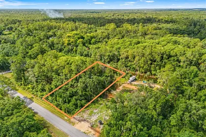 WEBSTER FL Property
