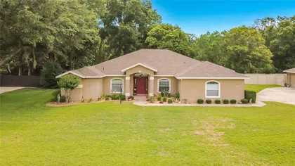 BELLEVIEW FL Home