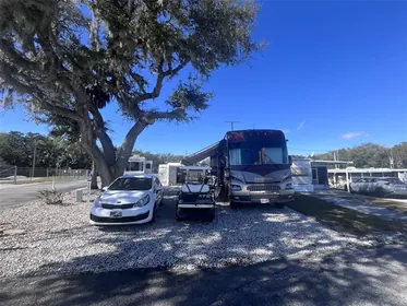 LEESBURG FL Property