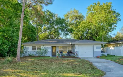 DUNEDIN FL Home