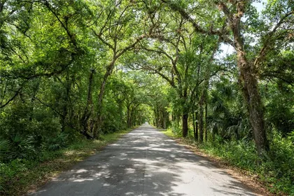 ORLANDO FL Property