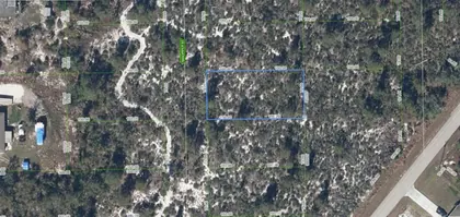 LAKE PLACID FL Property
