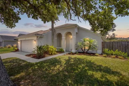 OLDSMAR FL Home