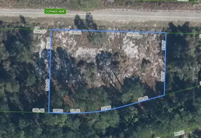 LAKE PLACID FL Property