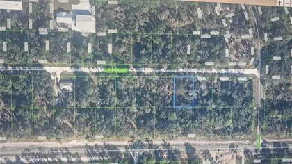 LAKE PLACID FL Property