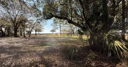 OCOEE FL Property