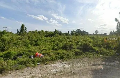 LEHIGH ACRES FL Property