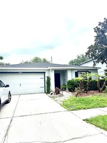 WESLEY CHAPEL FL Home