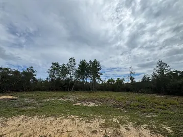 SALT SPRINGS FL Property