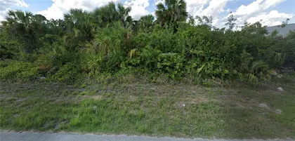 LEHIGH ACRES FL Property