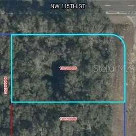 WILLISTON FL Property