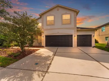 LITHIA FL Home