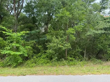 DUNNELLON FL Property