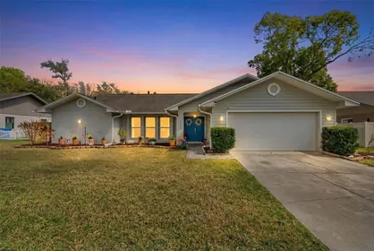 VALRICO FL Home
