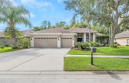 TAMPA FL Home