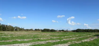 LAKE WALES FL Property