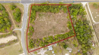 BELLEVIEW FL Property